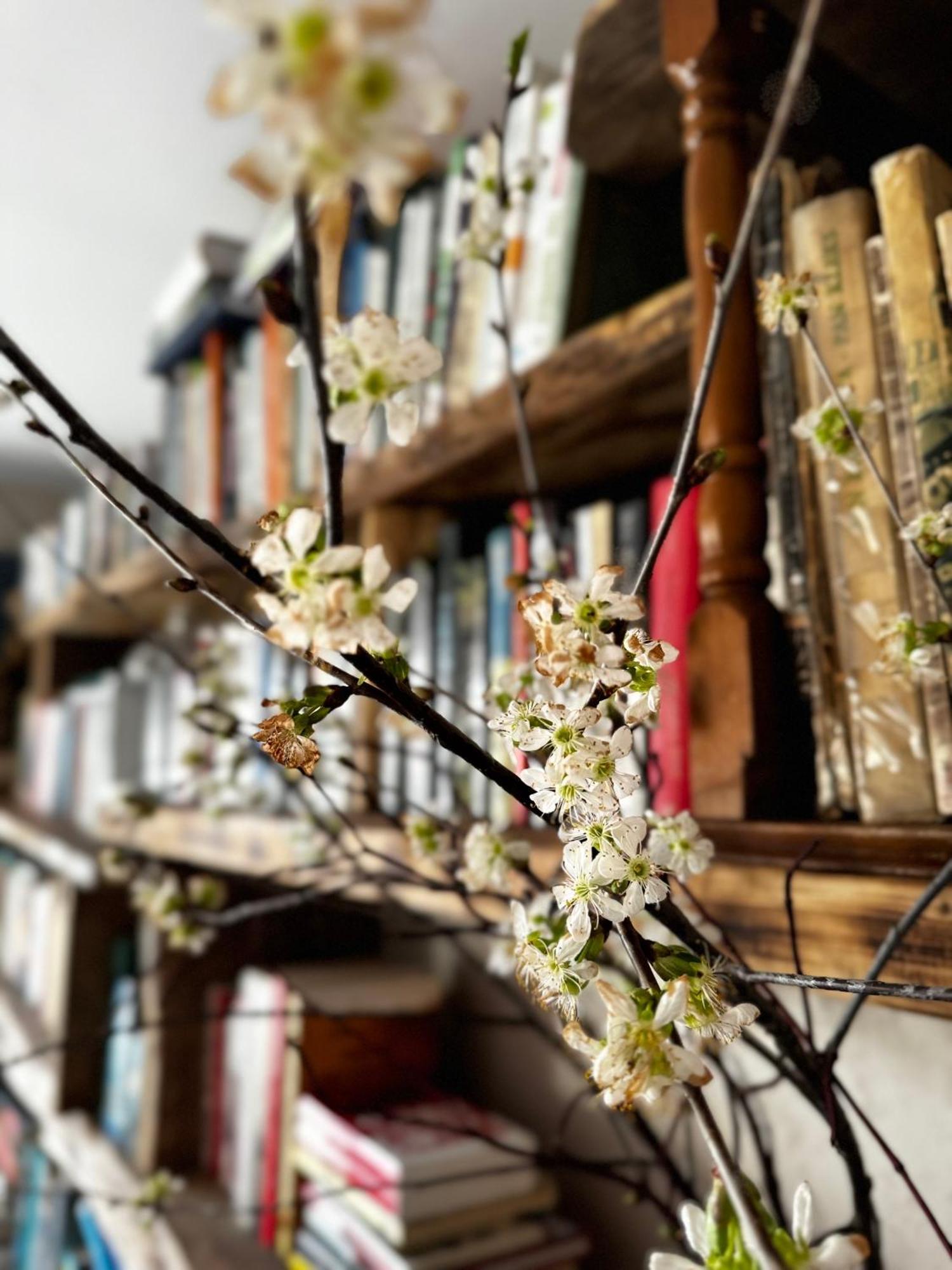 Bonaluti Villa Mirsk Dış mekan fotoğraf